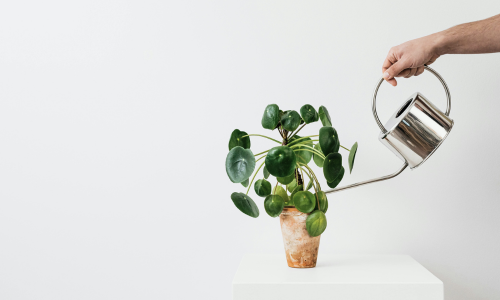 Pensar el cuidado para la vida real