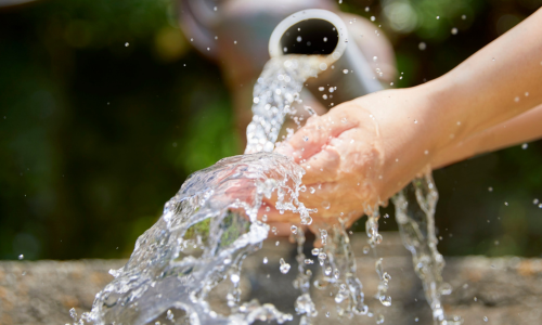 Agua y recursos naturales en la industria del cuidado personal: trazabilidad y responsabilidad